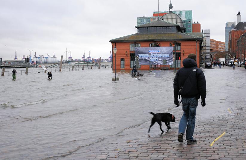 3561_0870 Ein Spaziergänger mit Hund am Rande des Hochwasser bei der Fischauktionshalle. | Hochwasser in Hamburg - Sturmflut.